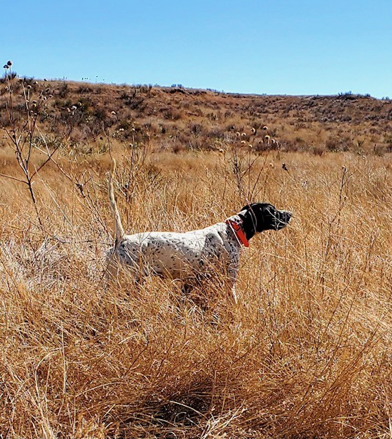 FIELD DREAM TROYS CORBIN