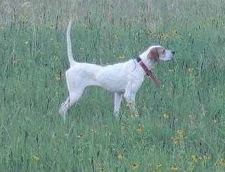 PRAIRIE ELHEW ANNA