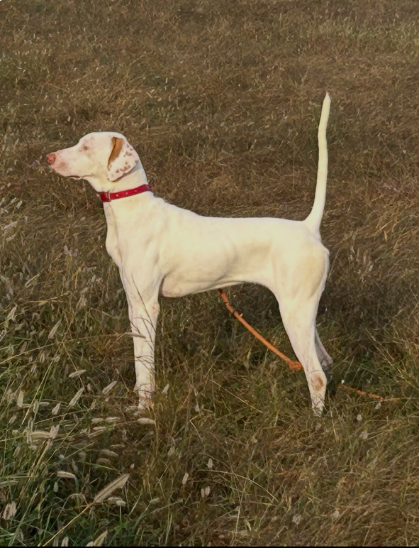 ERIN'S MISS ELLIE